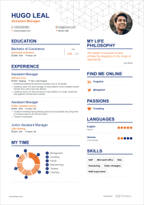 Enhancv resume sample